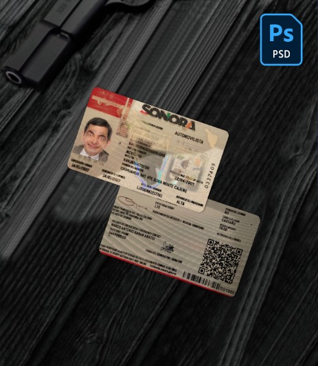 Mexico Sonora state driving license PSD